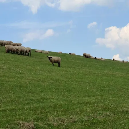 Haus Dornroschen Σπίτι διακοπών Schweiburg